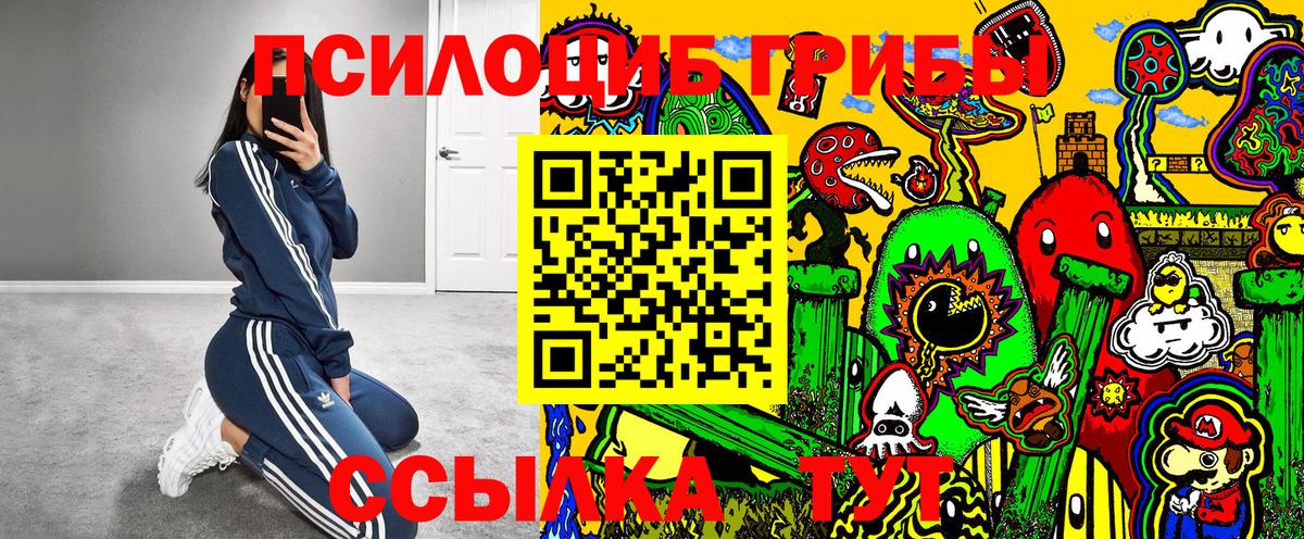 Белово  Псилоцибиновые грибы GOLDEN TEACHER  Псилоцибиновые грибы Cubensis  Вход с VPN 