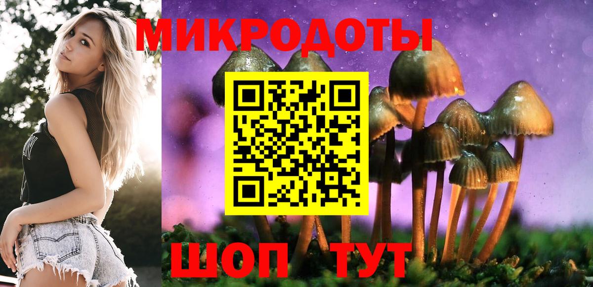 Галлюциногенные грибы Cubensis Белово